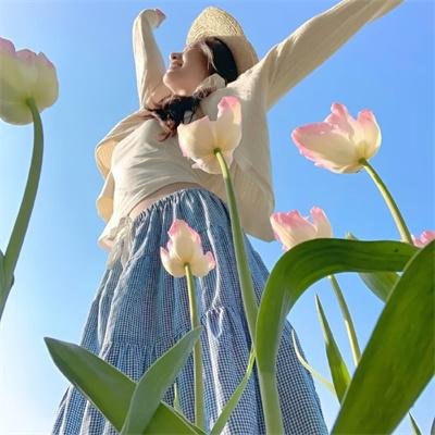 燕子女王