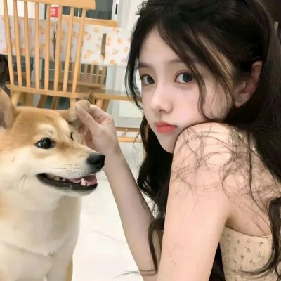 乱发日记